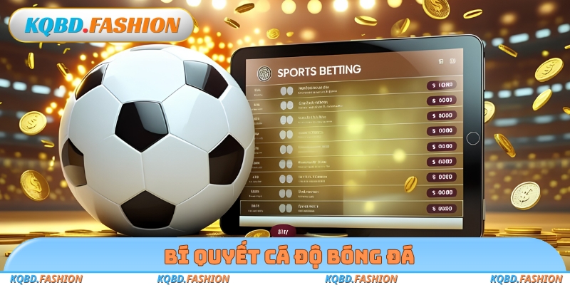 Bí quyết cá độ bóng đá