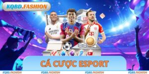 Cá Cược Esport