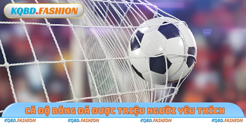 Cá độ bóng đá được triệu người yêu thích