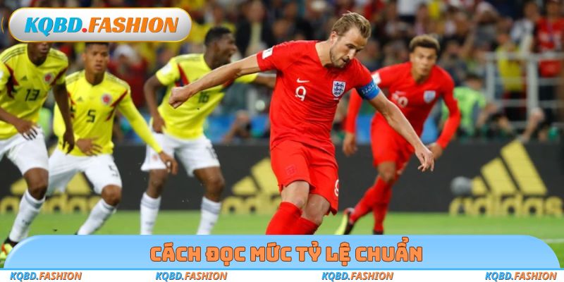 Cách đọc mức tỷ lệ chuẩn