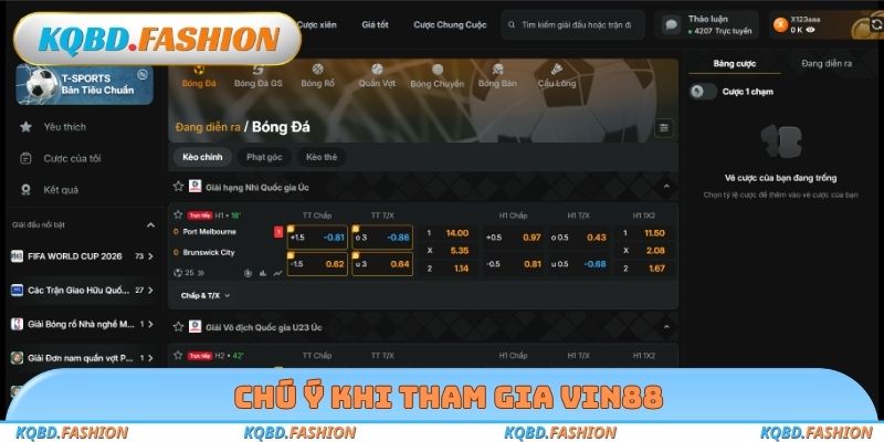 Chú ý khi tham gia Vin88