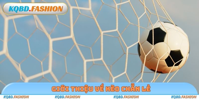 Giới thiệu về kèo chẵn lẻ