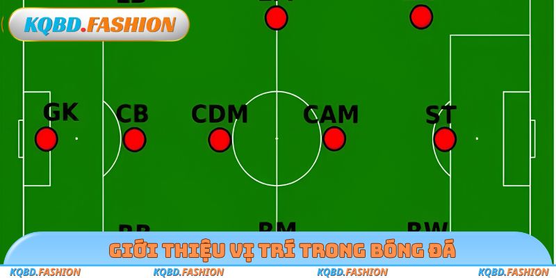 Giới thiệu vị trí trong bóng đá