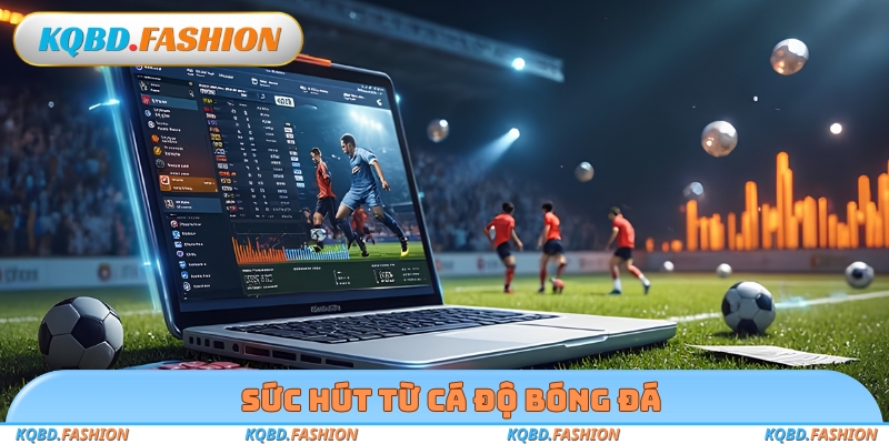 Sức hút từ cá độ bóng đá
